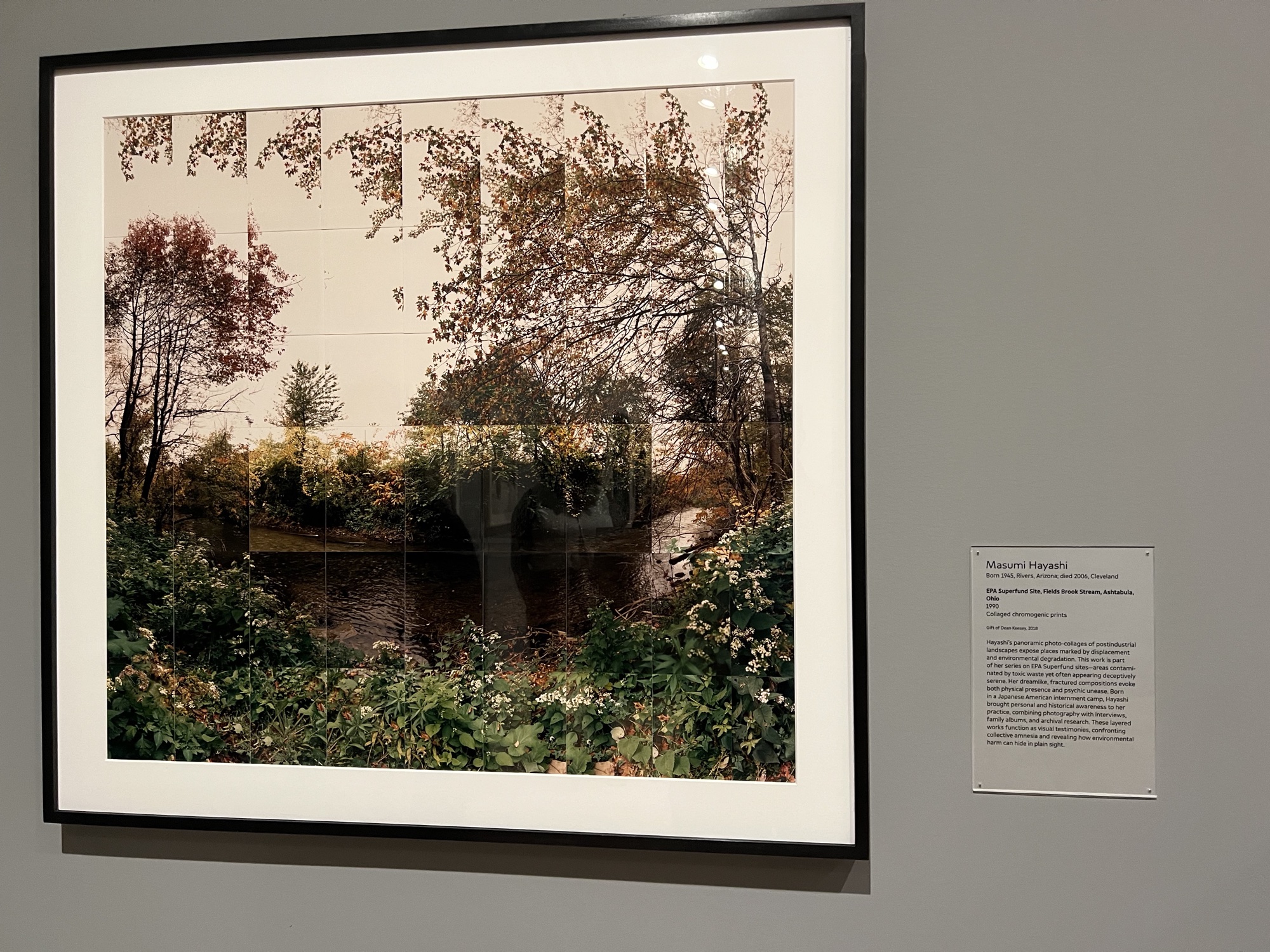 Masumi Hayashi's EPA Superfund Site, Fields Brook Stream panoramic photo collage on display at SFMOMA